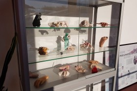 Pause und Erholung_024